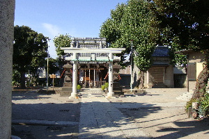 tenso-jinja