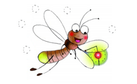 指引你前行的萤火虫——firefly