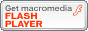 flash_player_E[h
