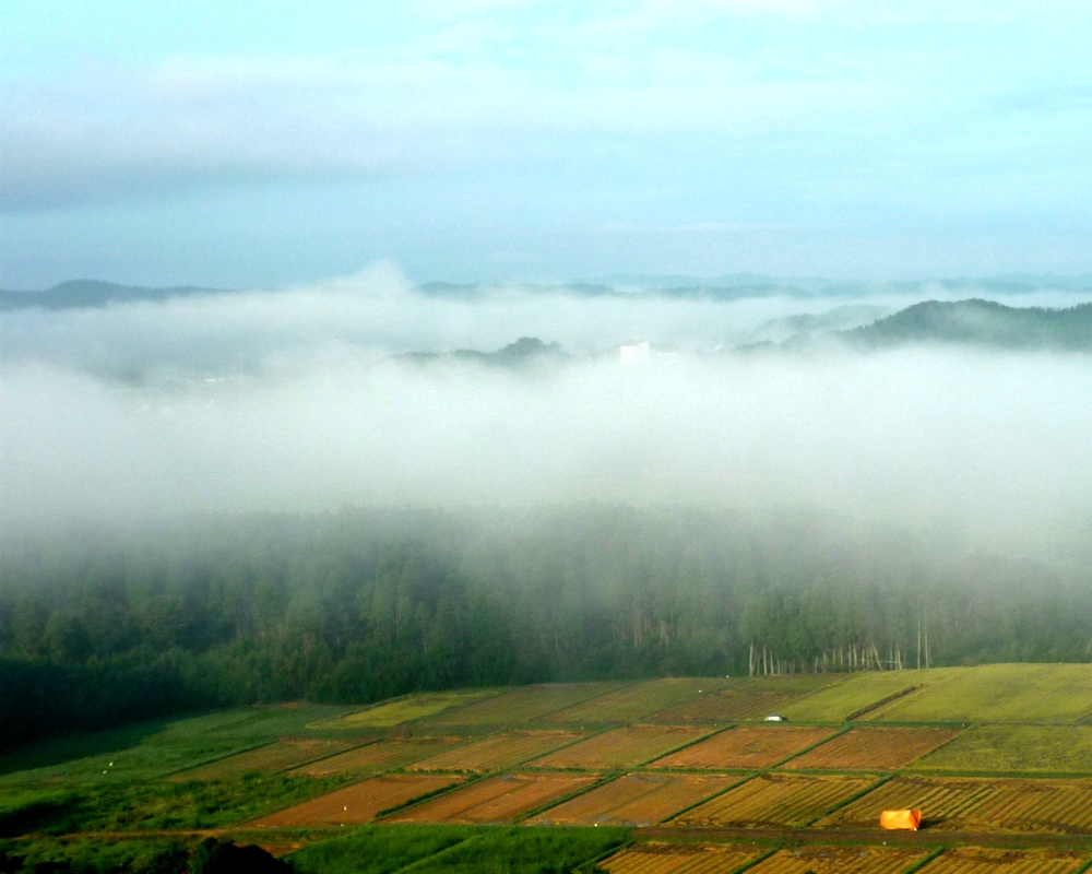 ファイル 41-1.jpg