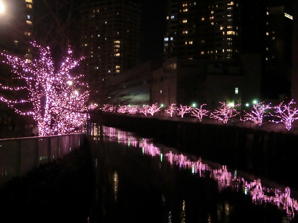 ファイル 53-1.jpg