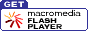 Flash Player_E[ho܂ij