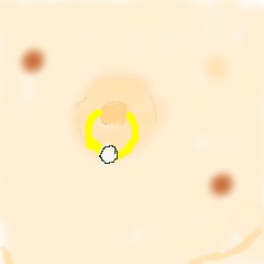 10�N�ڂ̔����ȋP���B�ۓ��ɂ��߂��ʒu�ŁB